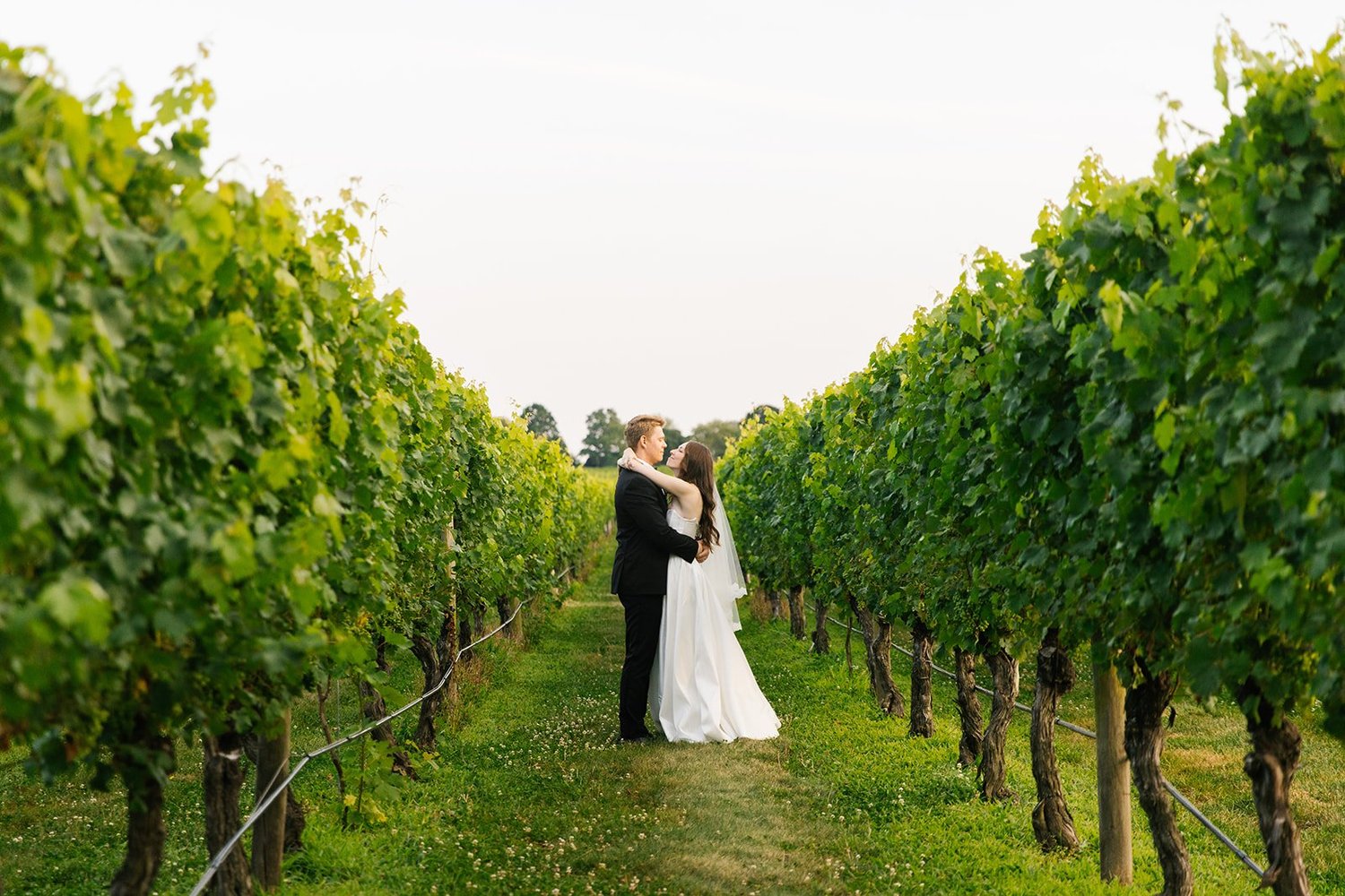 A Vineyard Wedding: Why Wine Country Makes the Perfect Venue
